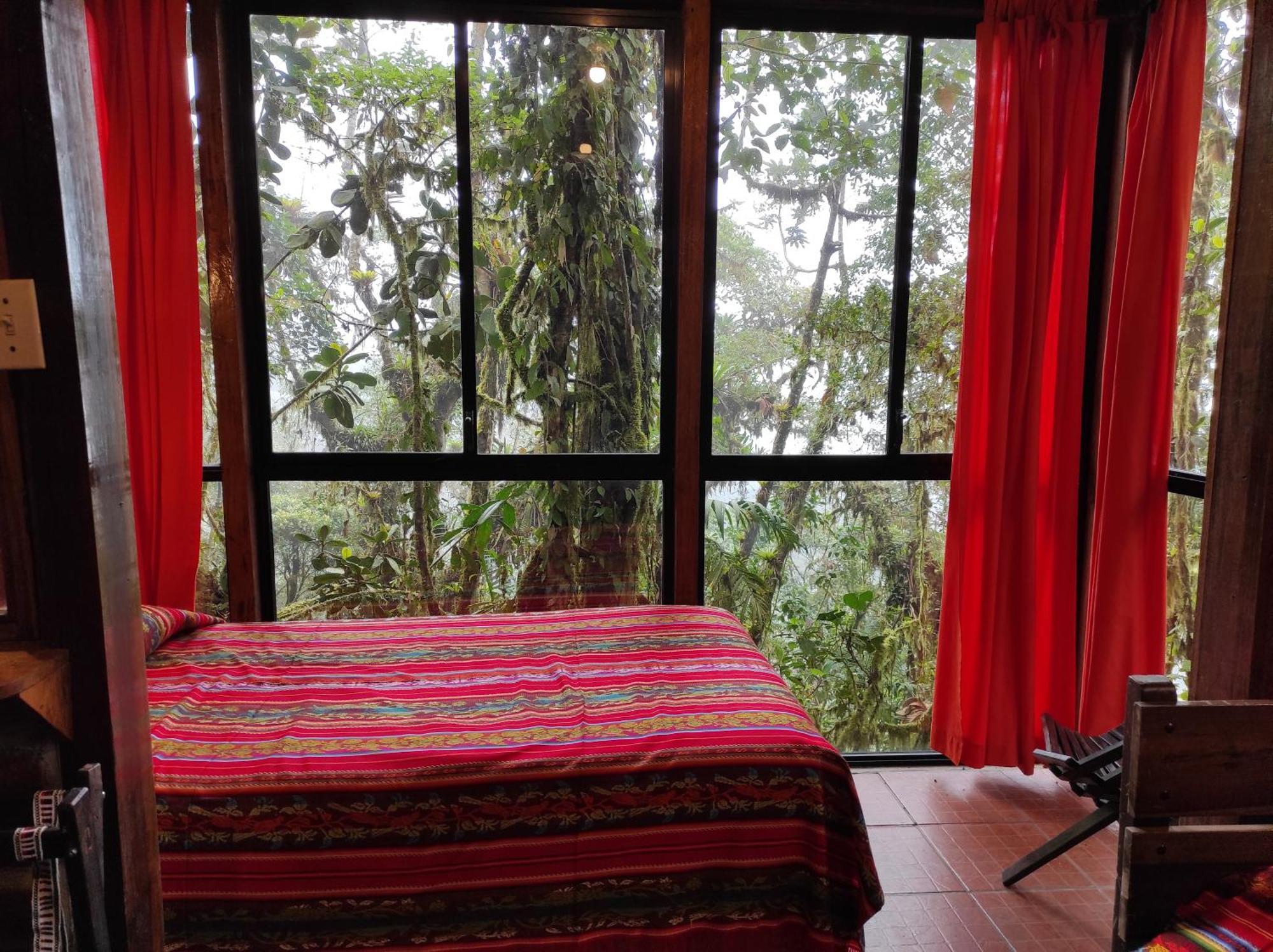 Bellavista Cloud Forest Lodge & Private Protected Area Tandayapa Екстериор снимка
