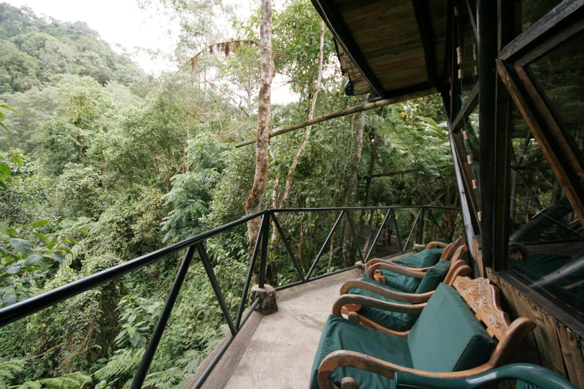 Bellavista Cloud Forest Lodge & Private Protected Area Tandayapa Екстериор снимка
