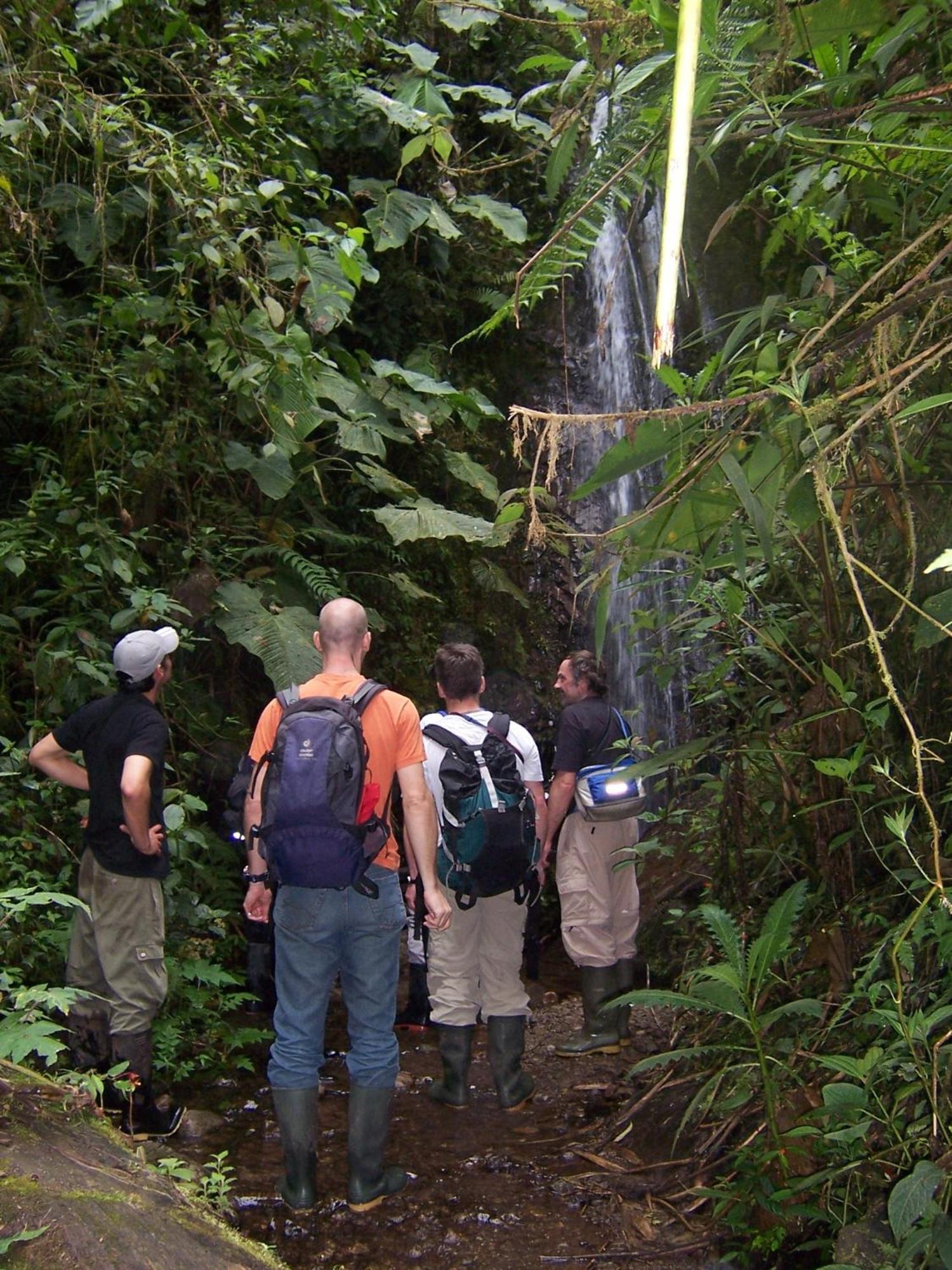 Bellavista Cloud Forest Lodge & Private Protected Area Tandayapa Екстериор снимка