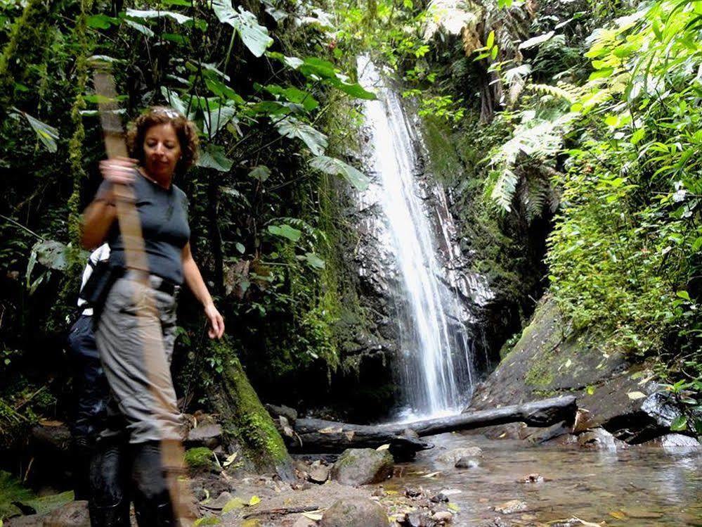 Bellavista Cloud Forest Lodge & Private Protected Area Tandayapa Екстериор снимка